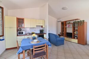 izzhome-hibiscus-08