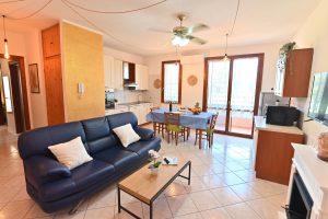 izzhome-orange-tree-pula-53