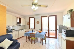 izzhome-orange-tree-pula-86