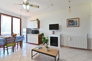 izzhome-orange-tree-pula-94